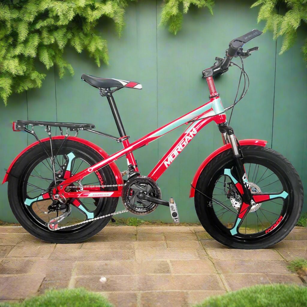 20-Inch Kids Bicycle Red and Mint B20-376CK