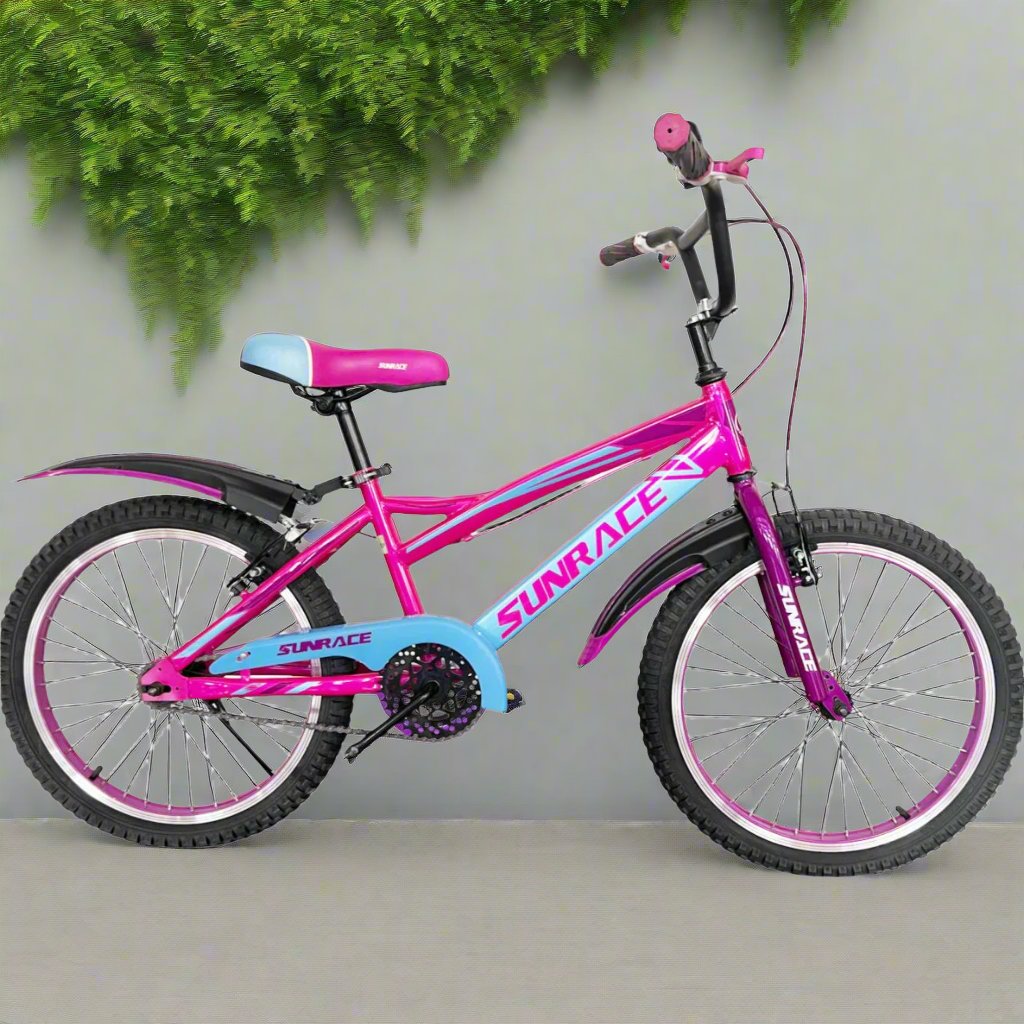 20-Inch Kids Bicycle Pink and Blue B20-90CC