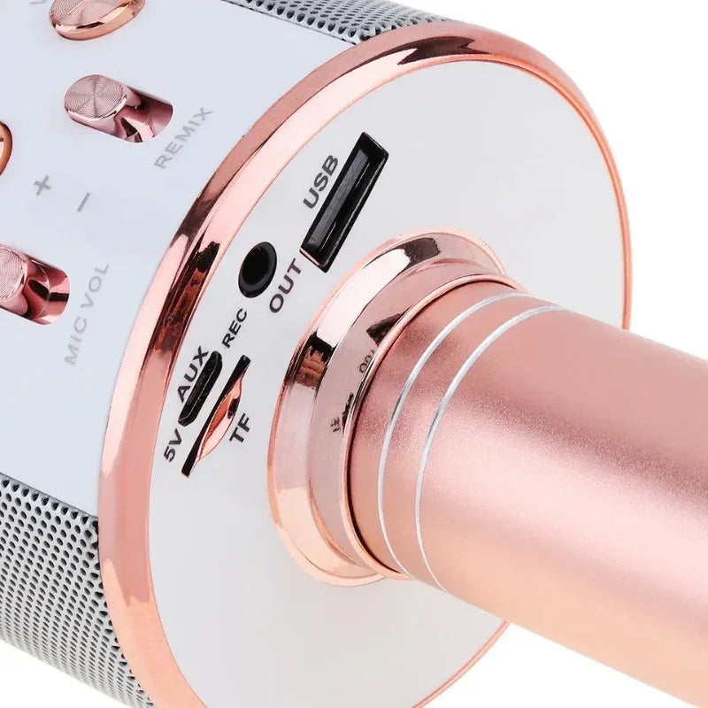 Wireless Karaoke Microphone with HiFi Speaker