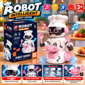 FIGURE ACTION ROBOT