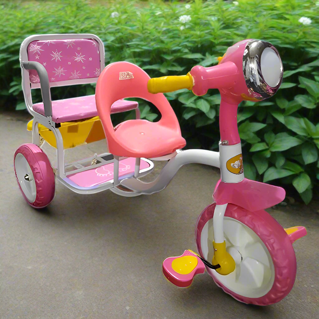 Kids Pink Tricycle with Rear Seat T-5166