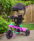 Kids Purple Canopy Push-Handle Tricycle T-919C NEW